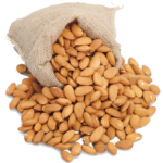 Almond Nuts
