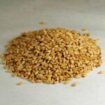 Barley Grain