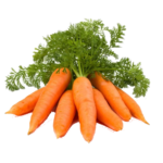 Fresh Carrot