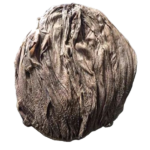 Beef Omasum