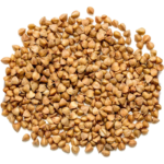 Buckwheat
