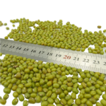 Green Mung Beans