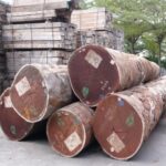 Timber